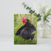 Kampfflugzeug Postkarte (Stehend Vorderseite)