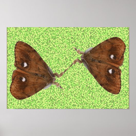Kampfflugzeuge Poster (Vorne)