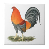 Kampfhahn-blaues Rot-Hahn Fliese (Vorderseite)