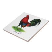 Kampfhahn:  Dunkelrot Fliese (Seite)