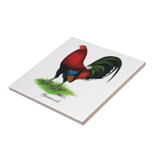 Kampfhahn:  Dunkelrot Fliese (Seite)