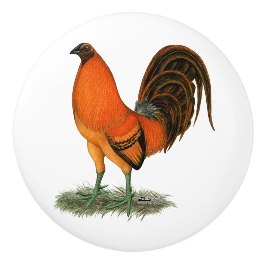 Kampfhahn Ginger Red Rooster Keramikknauf (Vorderseite)