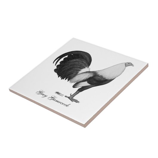 Kampfhahn-Grau Duckwing Fliese (Seite)