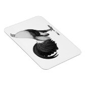 Kampfhahn Grau Duckwing Magnet (Rechte Seite)