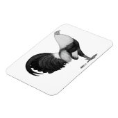 Kampfhahn Grau Duckwing Magnet (Linke Seite)
