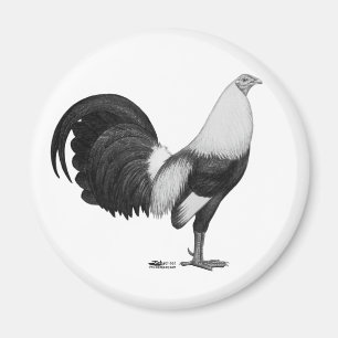 Kampfhahn Grau Duckwing Magnet