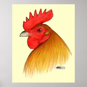 Kampfhahn-Stag-Einzelkamm Poster