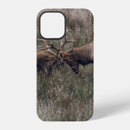 KAMPFHIRSCHE iPhone HÜLLE (Rückseite)