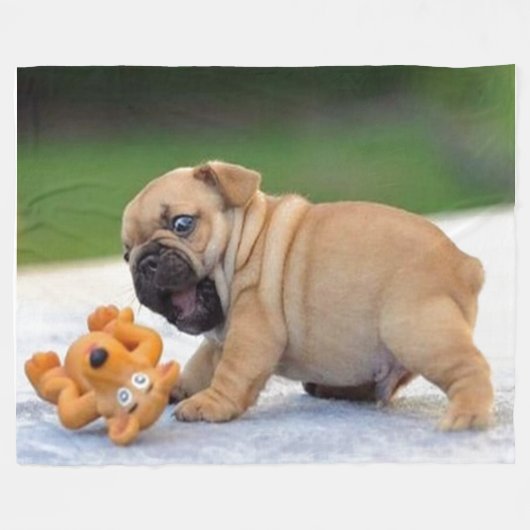 KAMPFHUND FLEECEDECKE (Vorderseite (Horizontal))