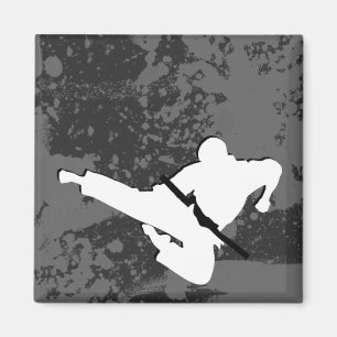 Kampfkunst : Grunge Silhouetten : Magnet