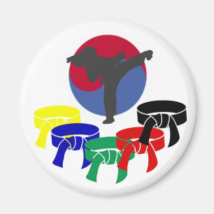 Kampfkunst-Kicker-Rang-Gurt-Magneten Magnet