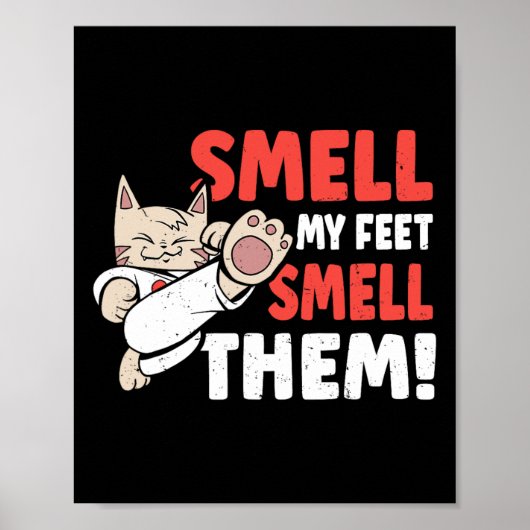 Kampfkünste Katzenjammer riechen mir nach Füßen! F Poster (Vorne)