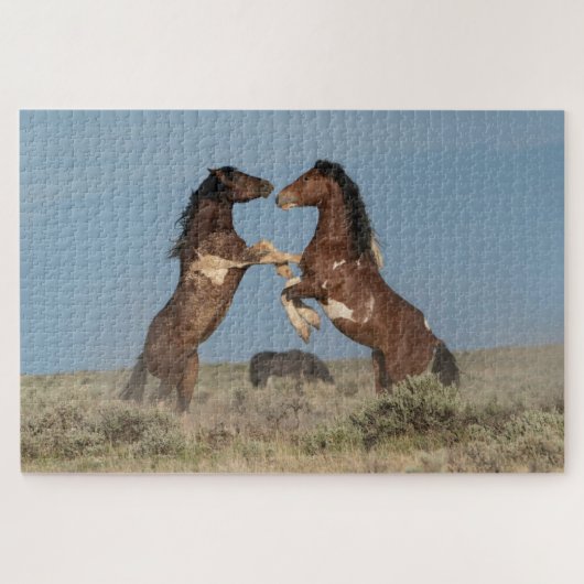 Kampflustige Hengste Puzzle (Horizontal)