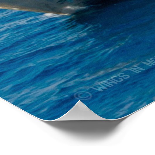 KAMPFSCHIFF - LCS-4 POSTER (Ecke)