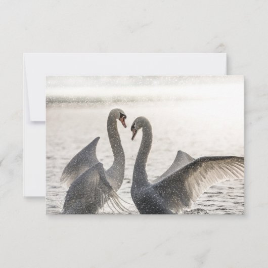 Kampfswanenkarte (Vorderseite)