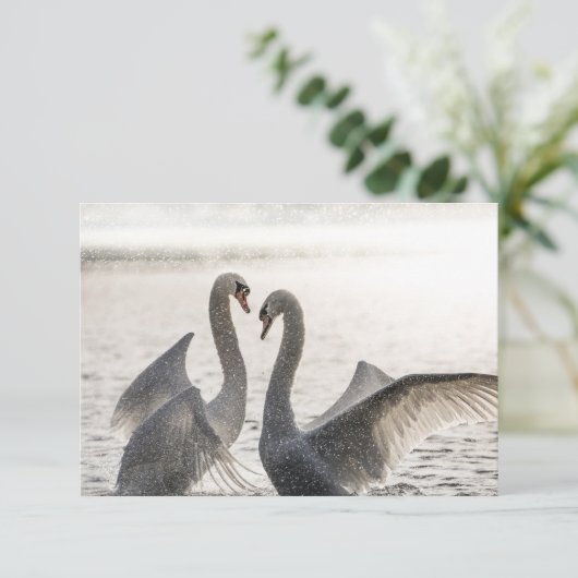 Kampfswanenkarte (Stehend Vorderseite)