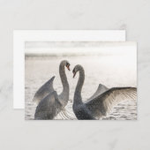 Kampfswanenkarte (Vorne/Hinten)