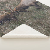 KAMPFTIEGE SHERPADECKE (3/4)