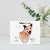 Kanaan Dog History Design Postkarte (Stehend Vorderseite)