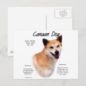 Kanaan Dog History Design Postkarte (Vorne/Hinten)