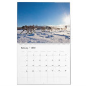 Kanada 2020 - Großer Kalender (Feb 2026)