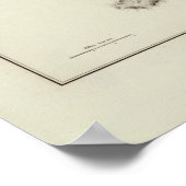 Kanada 4 poster (Ecke)