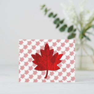 Kanada-Ahornblätterblatt von Shirley Taylor Postkarte