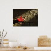 Kanada Ahornleaf Poster (Küche)