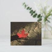 Kanada Ahornleaf Postkarte (Stehend Vorderseite)
