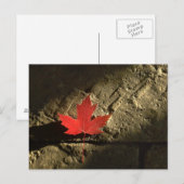Kanada Ahornleaf Postkarte (Vorne/Hinten)