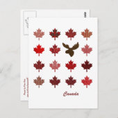 Kanada Ahornleaf und Elch Postkarte (Vorne/Hinten)