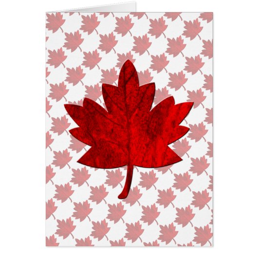 Kanada-Ahornleaf von Shirley Taylor Note Card (Vorne)