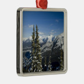 Kanada, Alberta, Banff. Aussicht auf das Bow-Tal Silbernes Ornament (Rechts)