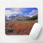 Kanada, Alberta, Banff NP. Hucklebeeren blühen Mousepad (Mit Mouse)