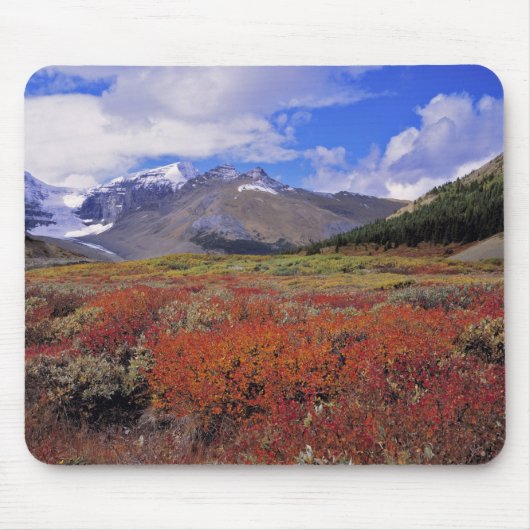 Kanada, Alberta, Banff NP. Hucklebeeren blühen Mousepad (Vorne)