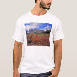 Kanada, Alberta, Banff NP. Hucklebeeren blühen T-Shirt