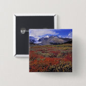 Kanada, Alberta, Banff NP. Hucklebeeren Button (Vorne & Hinten)