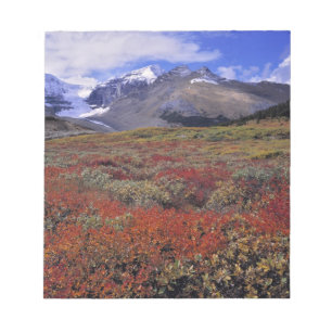 Kanada, Alberta, Banff NP. Huckleberries Notizblock
