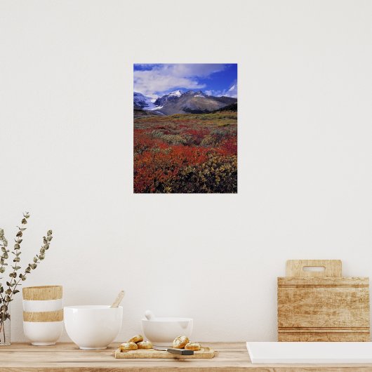 Kanada, Alberta, Banff NP. Huckleberries Poster (Küche)