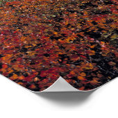 Kanada, Alberta, Banff NP. Huckleberries Poster (Ecke)