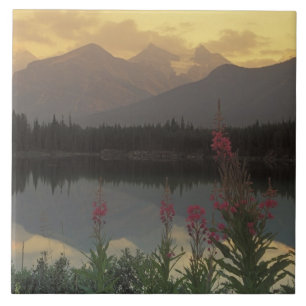 Kanada, Alberta, Banff. Sonnenaufgangspanorama von Fliese