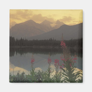 Kanada, Alberta, Banff. Sonnenaufgangspanorama von Magnet