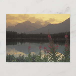 Kanada, Alberta, Banff. Sonnenaufgangspanorama von Postkarte