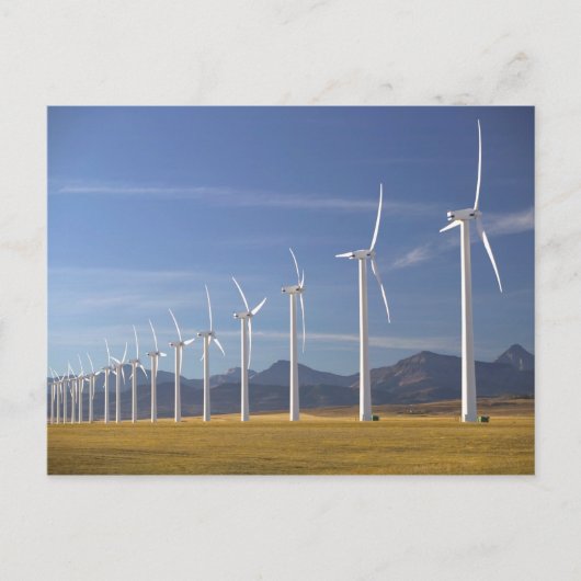 Kanada, Alberta, Crowsnest Pass Area: Cowley Postkarte (Vorderseite)