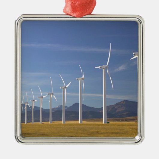 Kanada, Alberta, Crowsnest Pass Area: Cowley Silbernes Ornament (Vorne)