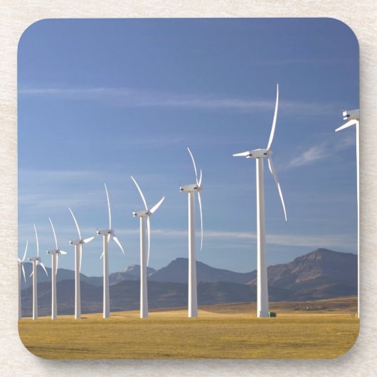 Kanada, Alberta, Crowsnest Pass Area: Cowley Untersetzer (Vorderseite)