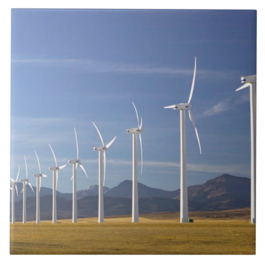 Kanada, Alberta, Gebiet Crowsnest Pass: Cowley Fliese (Vorderseite)