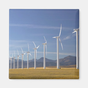 Kanada, Alberta, Gebiet Crowsnest Pass: Cowley Magnet
