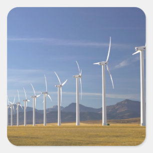 Kanada, Alberta, Gebiet Crowsnest Pass: Cowley Quadratischer Aufkleber