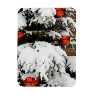 Kanada, Alberta, Jasper, Jasper NP. Fairmont 2 Magnet